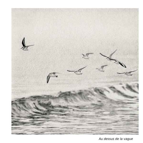 Au dessus de la vague